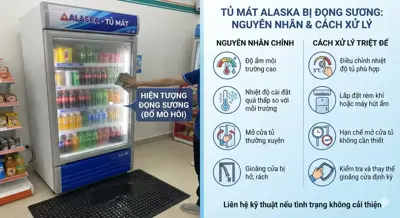 Tủ Mát Bị Đọng Sương (Đổ Mồ Hôi): Nguyên Nhân & Cách Xử Lý Triệt Để