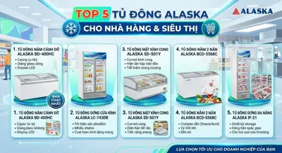Top 5 tủ đông Alaska bán chaỵ nhất nhà hàng siêu thị